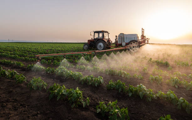 Professional Pest Control in Wamac, IL
