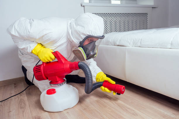 Trusted Wamac, IL Pest Control Experts