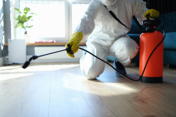 Best Emergency Pest Control  in Wamac, IL