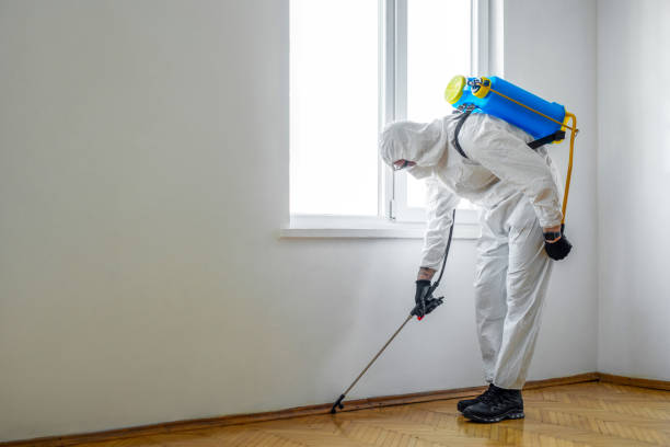 Pest Prevention Services in Wamac, IL