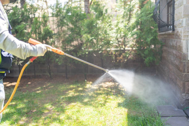 Best Wasp Removal Services  in Wamac, IL