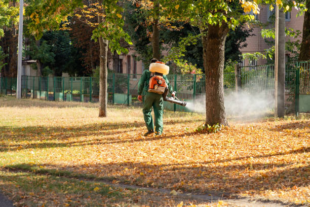 Best Bird Control  in Wamac, IL