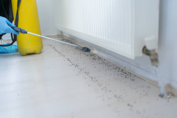 Best Pest Inspection Near Me  in Wamac, IL